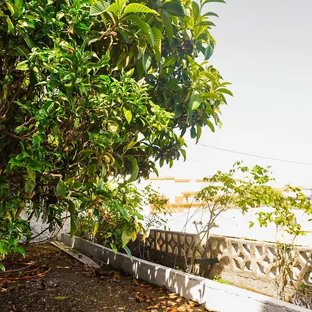 度假居 Casa Profesores, Typical Canarian House *