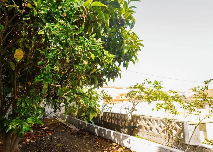 Holiday home Casa Profesores, Typical Canarian House *